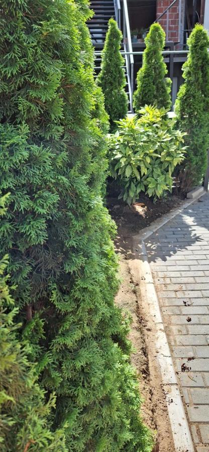 Apartman Zivkovic Leskovac  Dış mekan fotoğraf