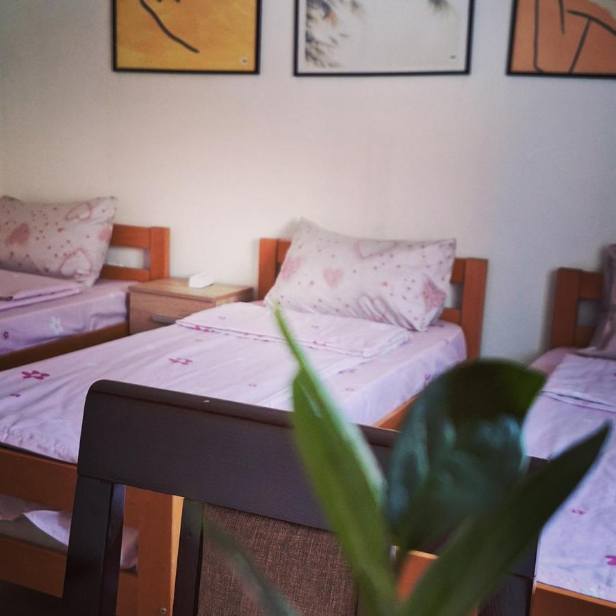 Apartman Zivkovic Leskovac  Dış mekan fotoğraf